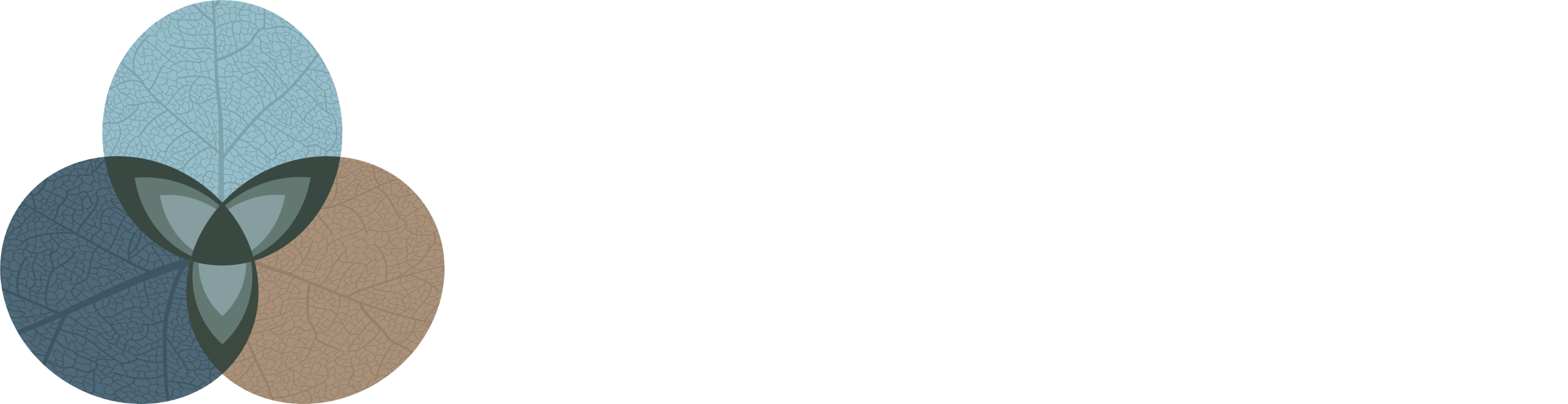 MindBody&YOU Physiotherapy